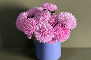 IMG_3889 IMG_3889